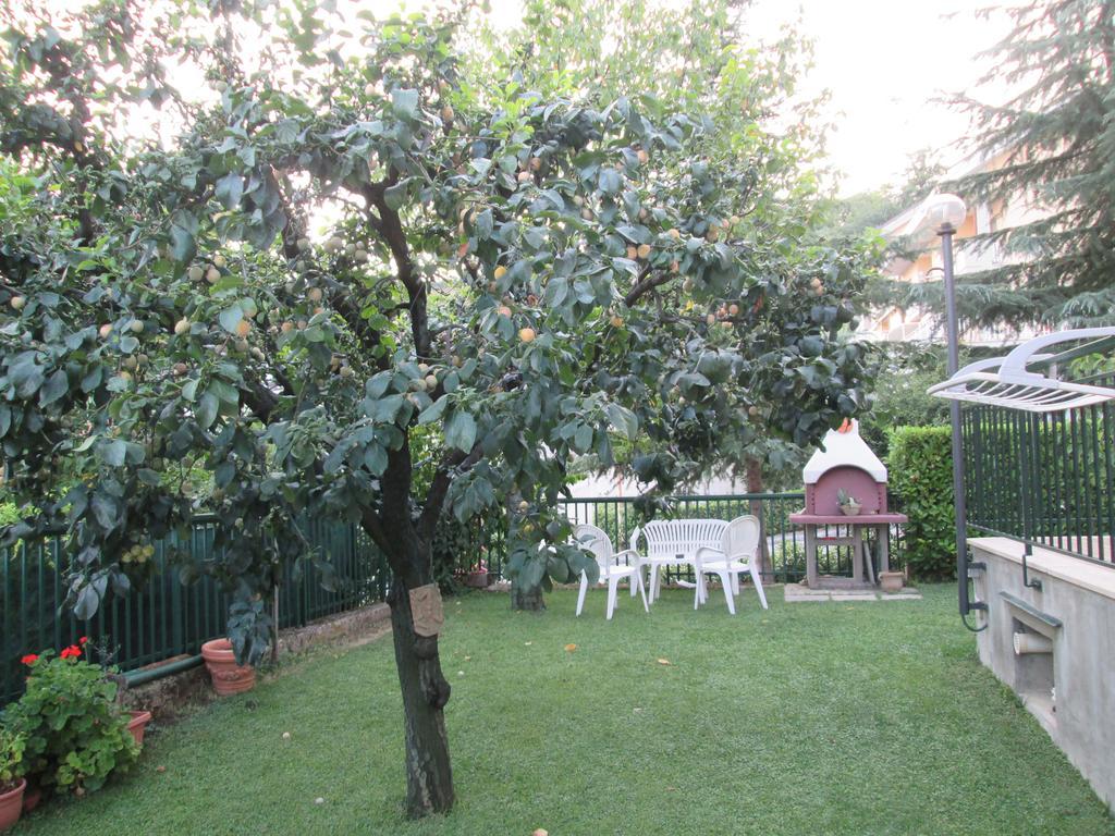 B&B Le Begonie Асколи Пичено Екстериор снимка